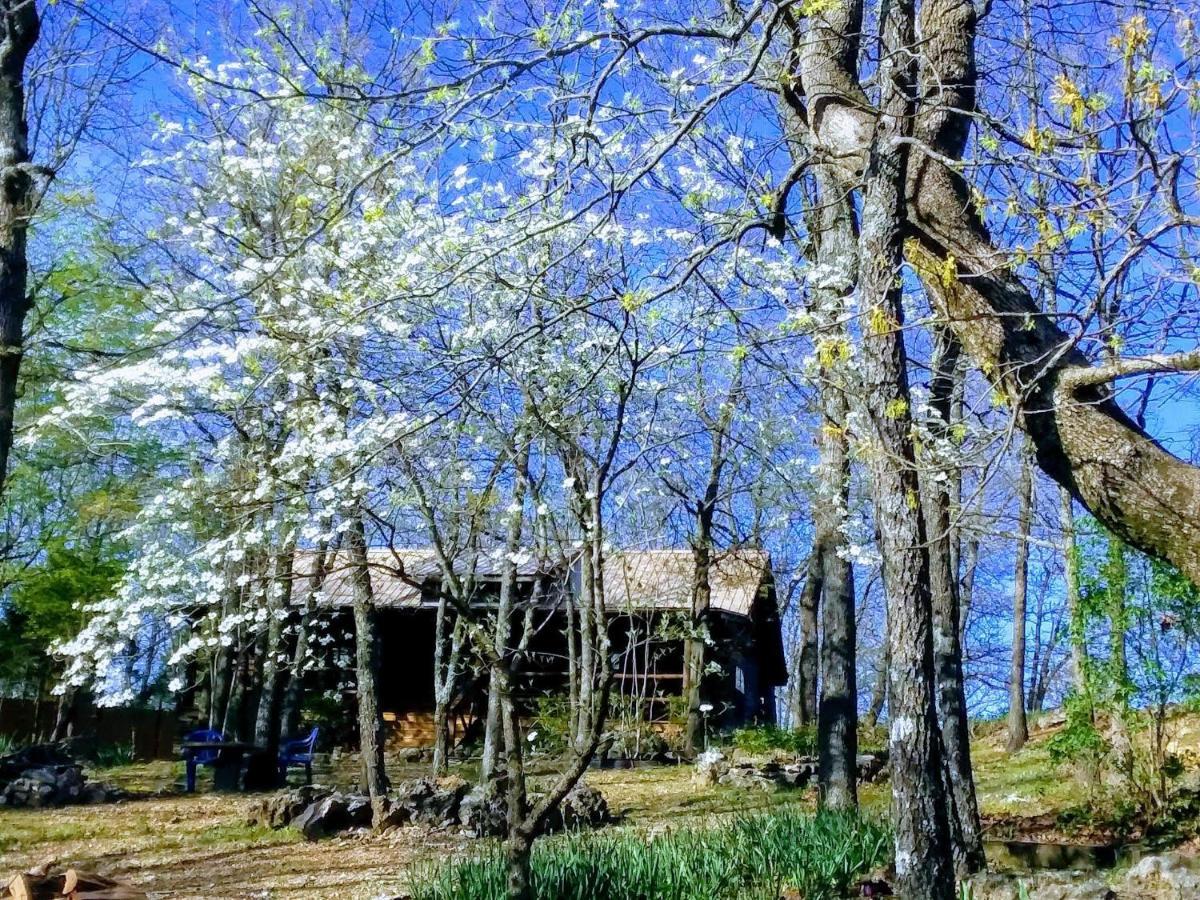 Cherokee Mountain Log Cabins Eureka Springs Eksteriør bilde